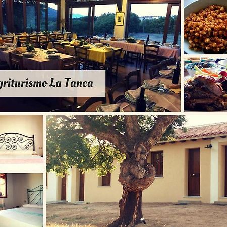 Agriturismo La Tanca Berchiddeddu Extérieur photo