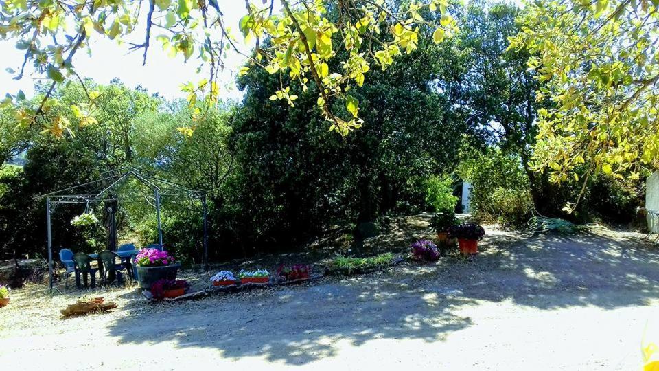 Agriturismo La Tanca Berchiddeddu Extérieur photo