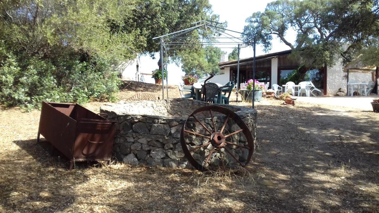 Agriturismo La Tanca Berchiddeddu Extérieur photo
