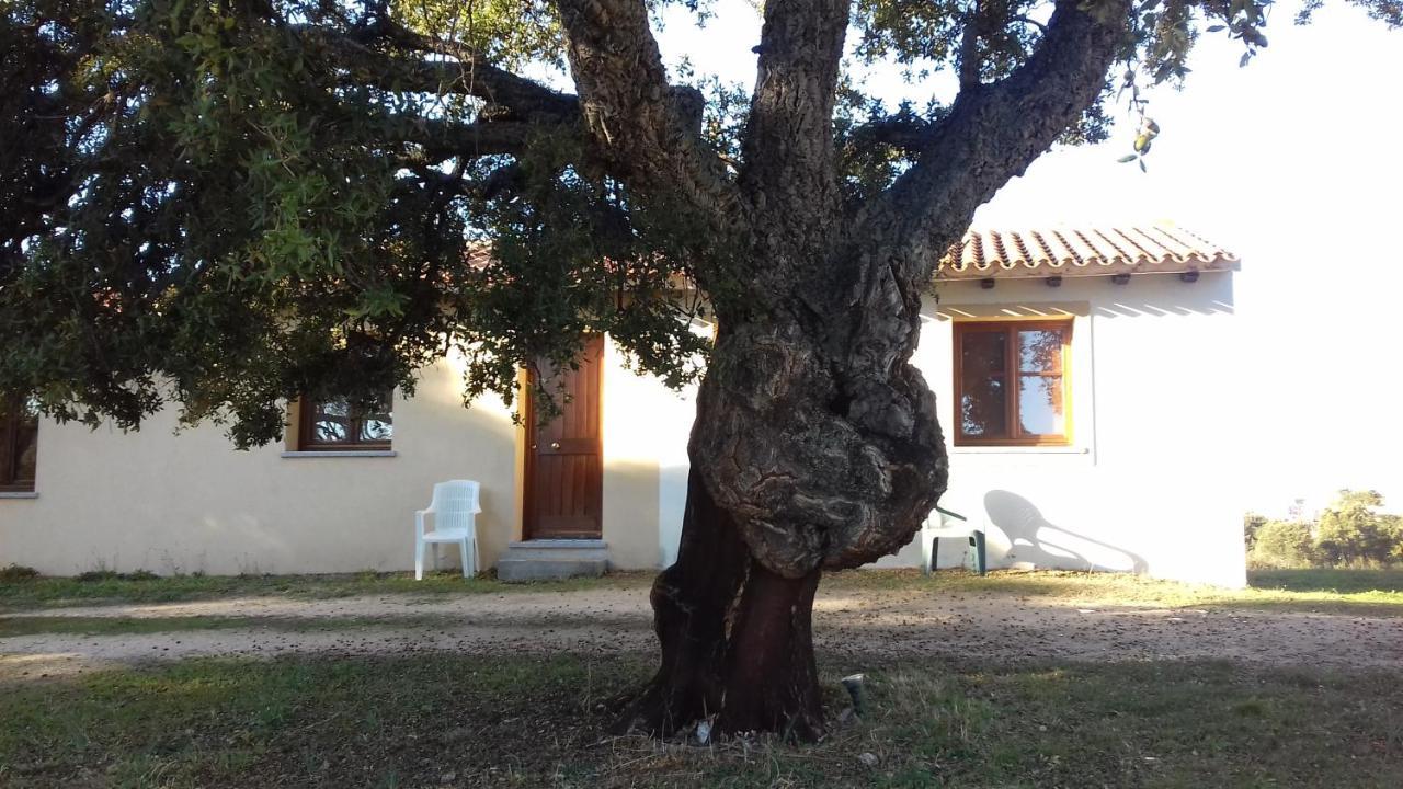 Agriturismo La Tanca Berchiddeddu Extérieur photo